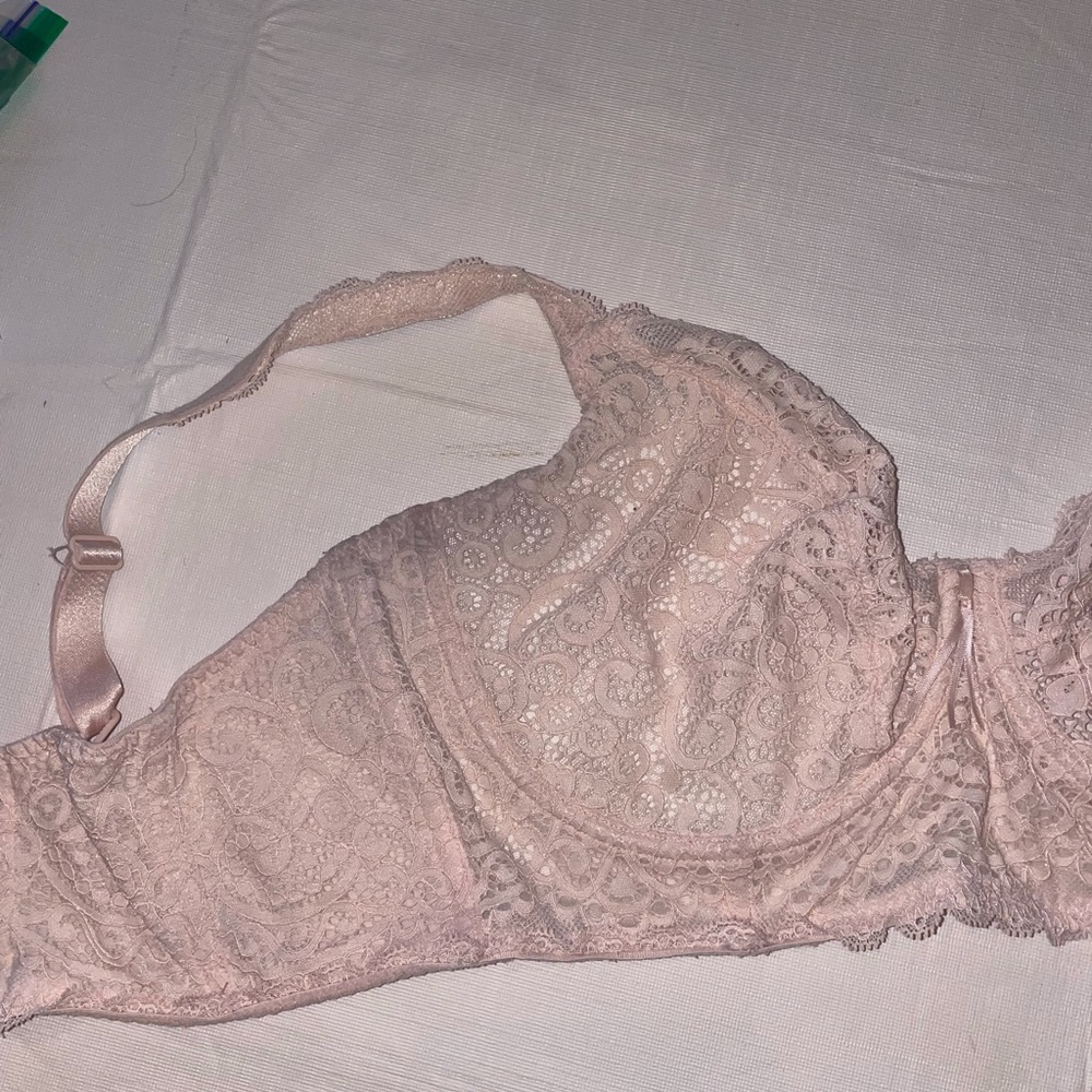 Prima Donna Lace Bra 36g View 3